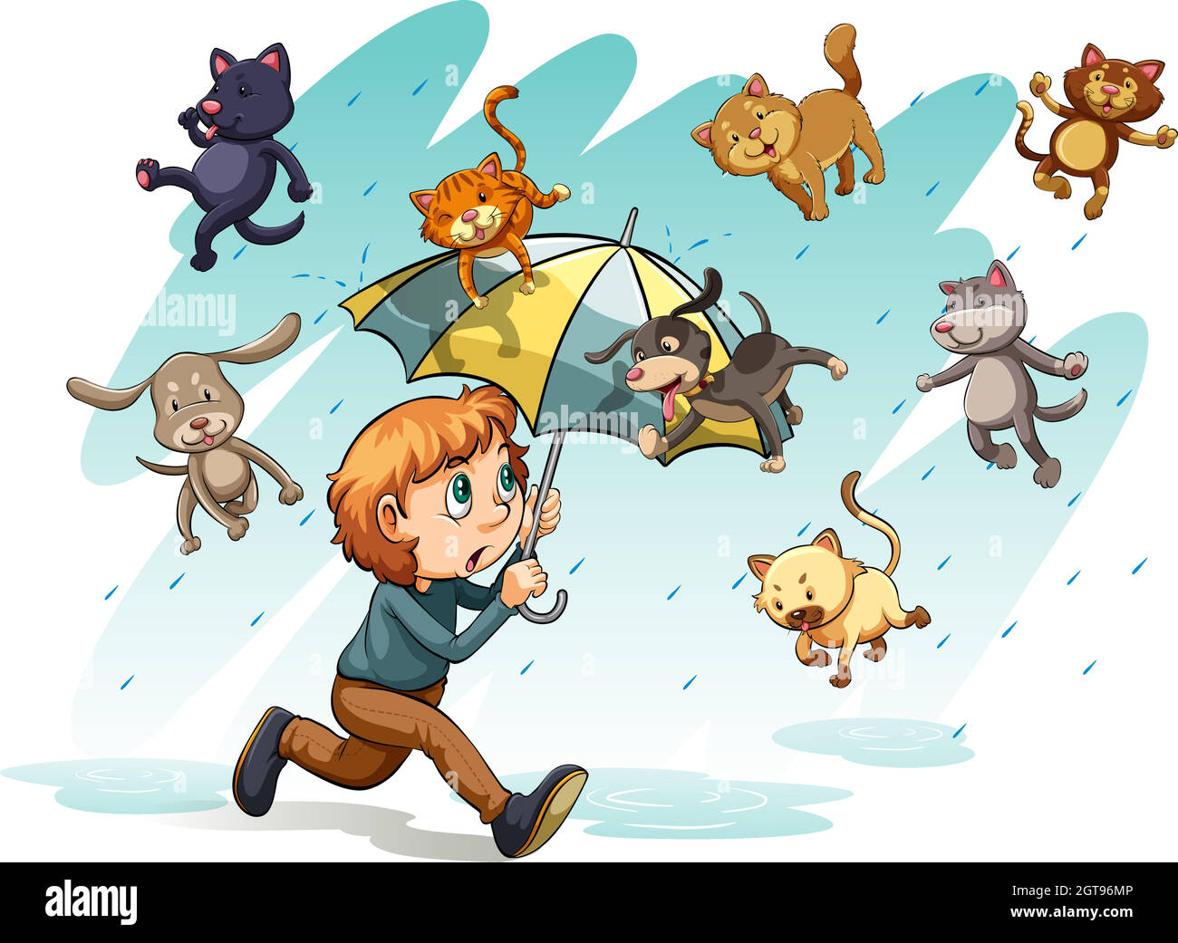 A rain with cats and dogs Stock Vector