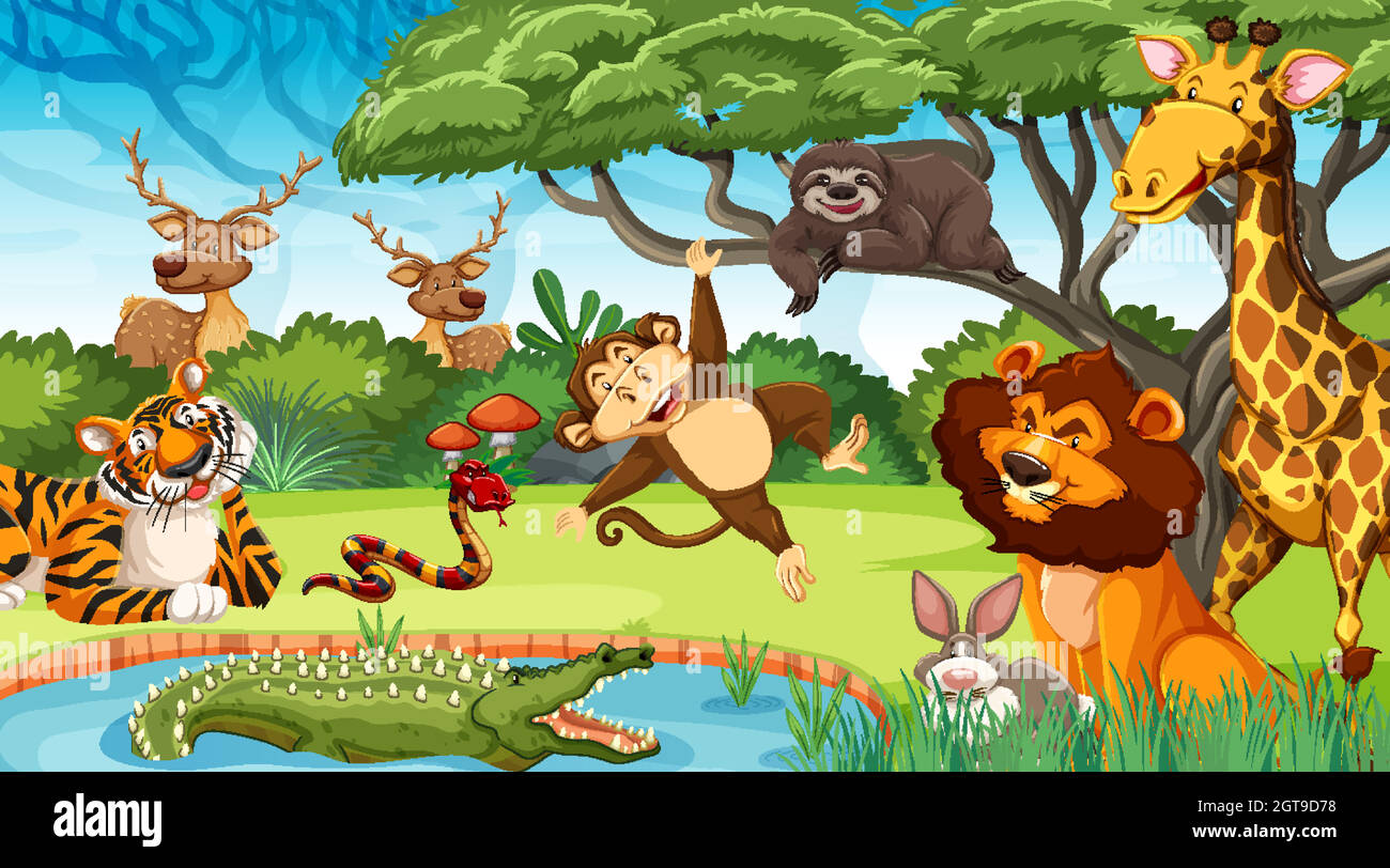 Wild animals in the jungle Stock Vector Image & Art Alamy