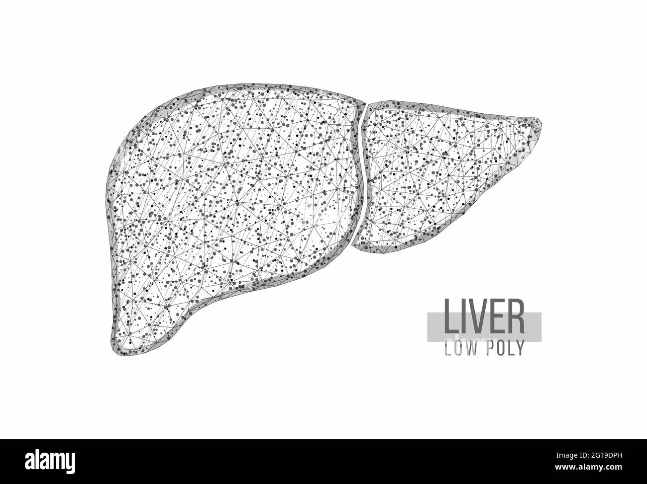Human liver. Wireframe low poly style. Concept for medical, treatment ...
