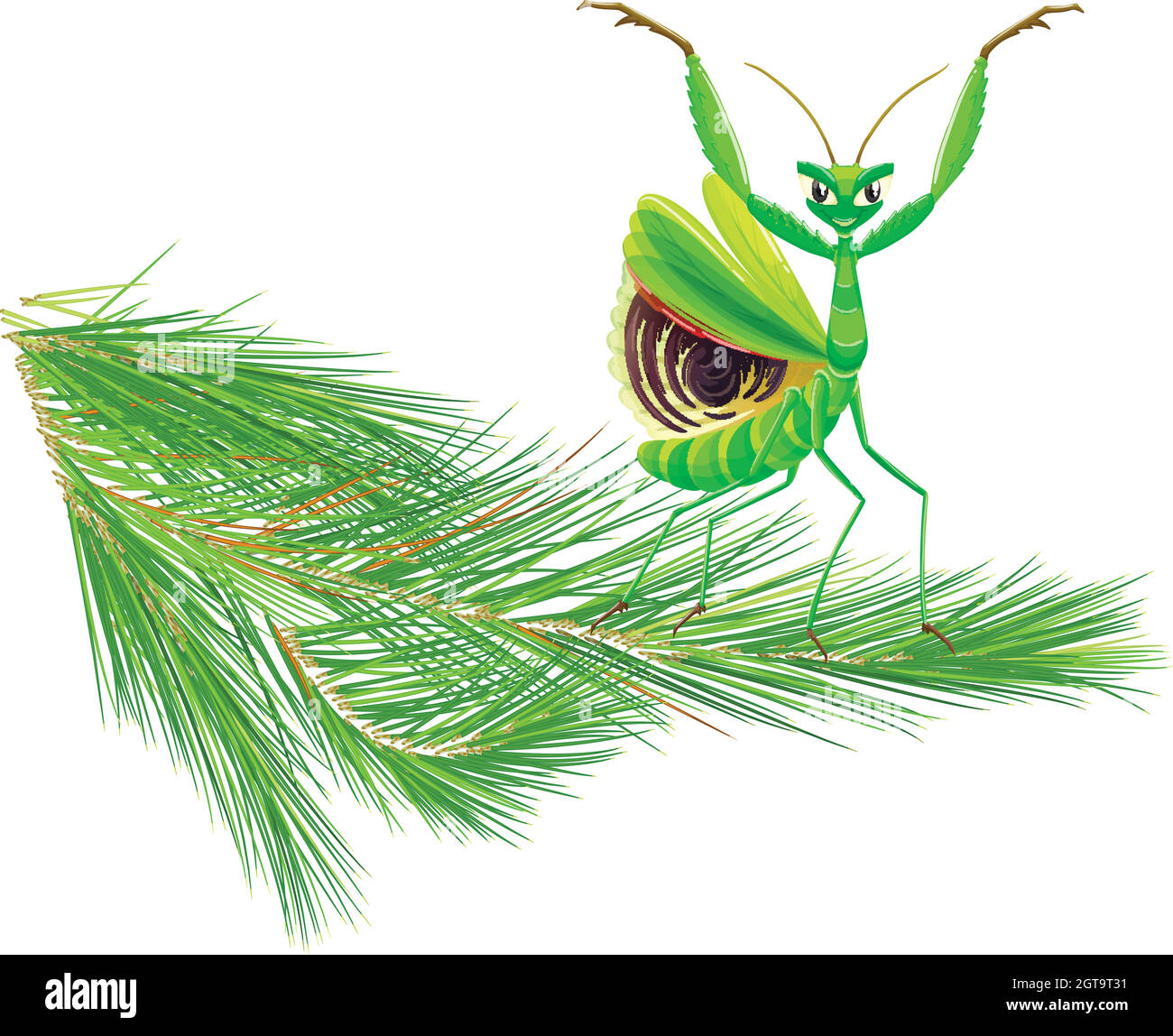 Mantis on Pine Tree Branch Stock Vector