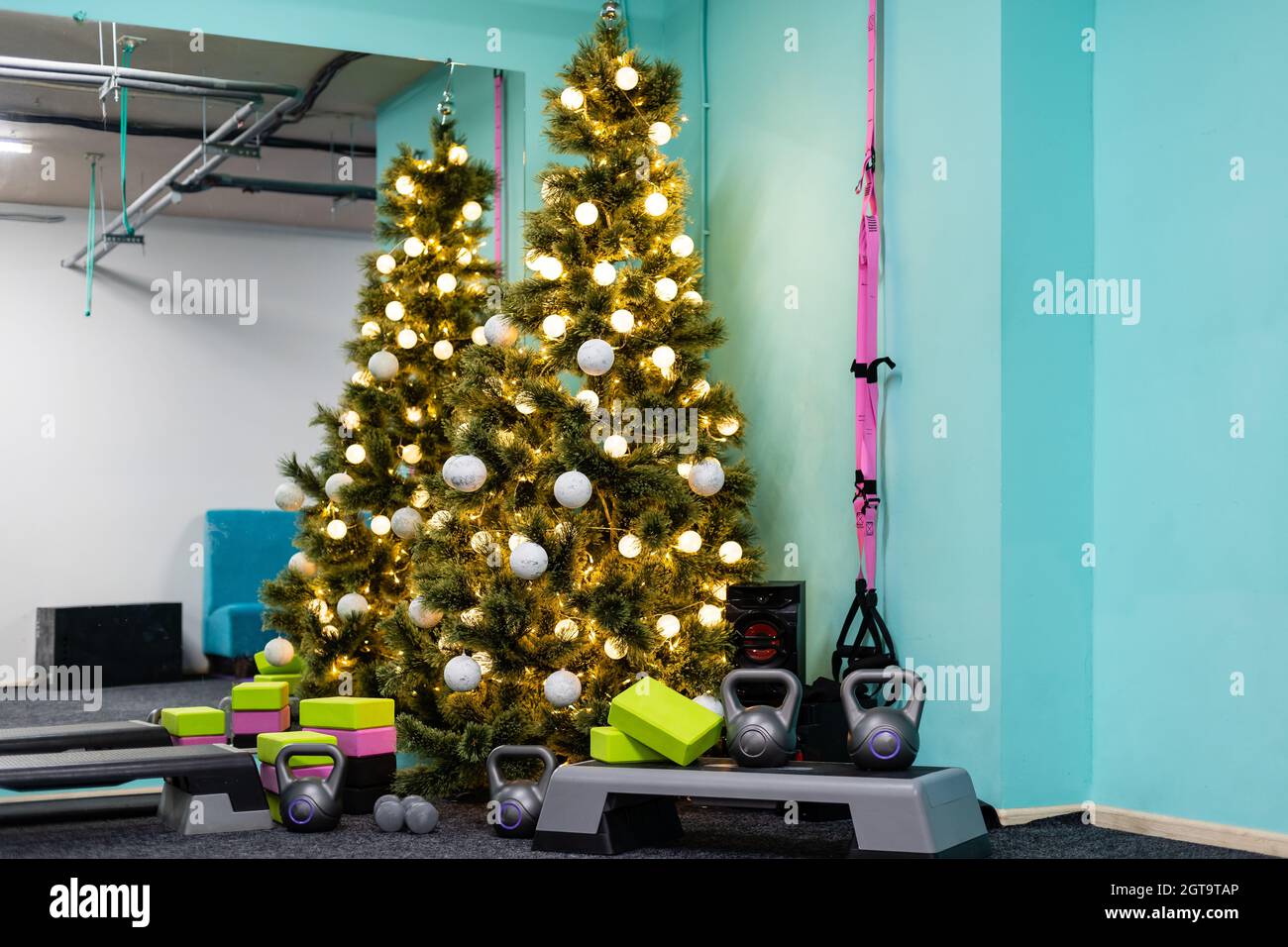 christmas tree in the gym Stock Photo Alamy