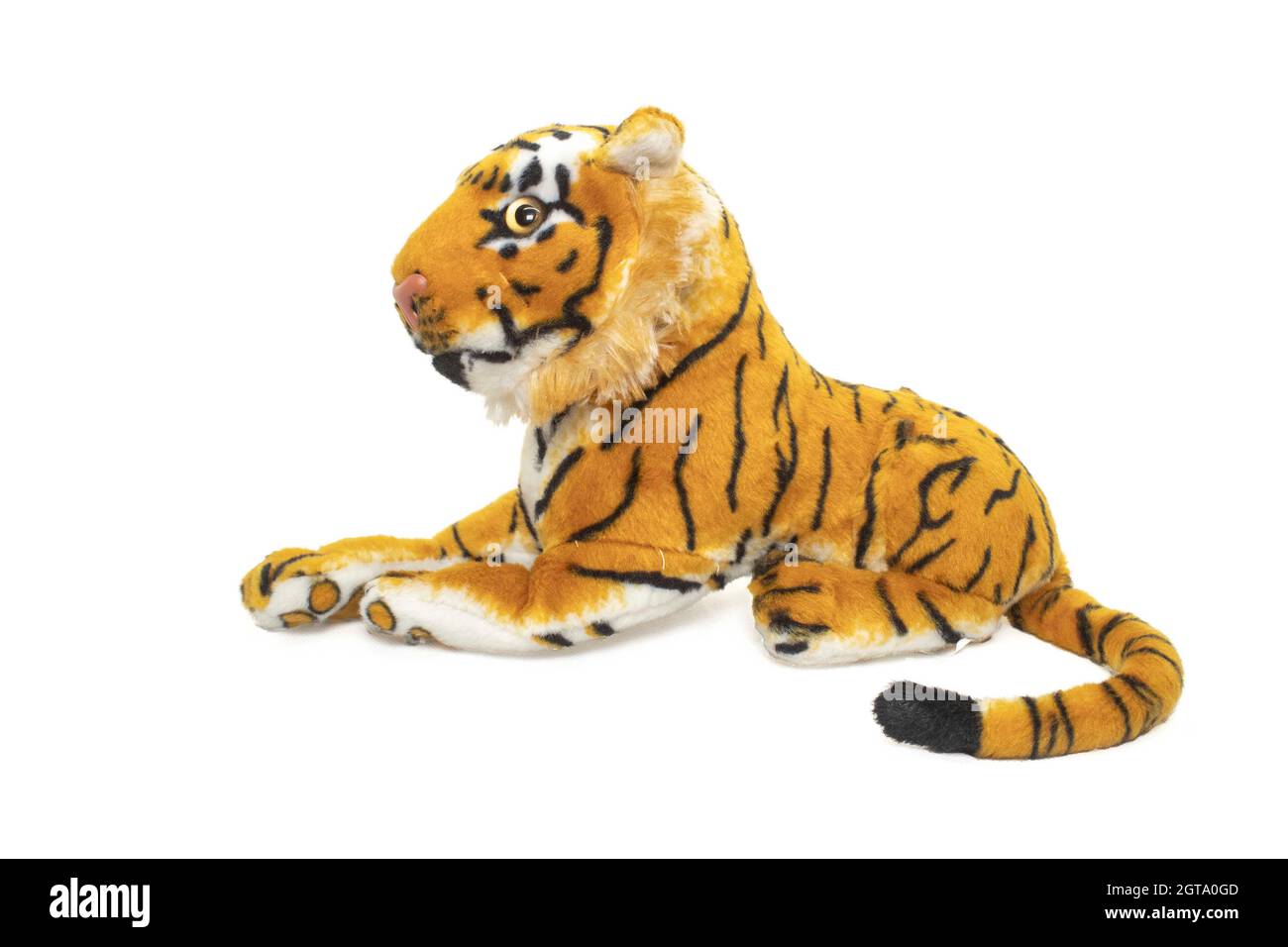 a close up of a tiger Stock Photo