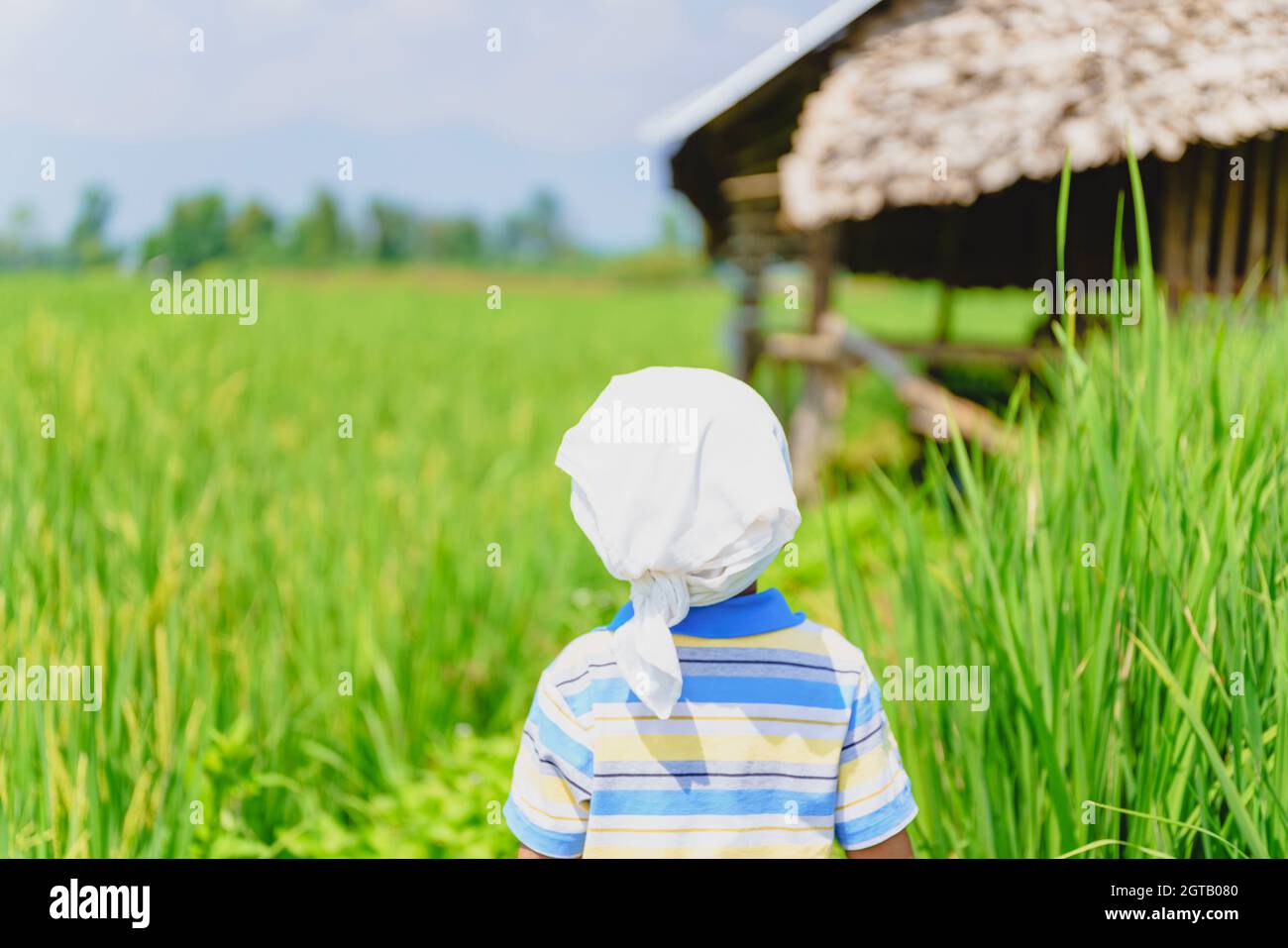 Rear View Of Boy Standing In Farm Stock Photo