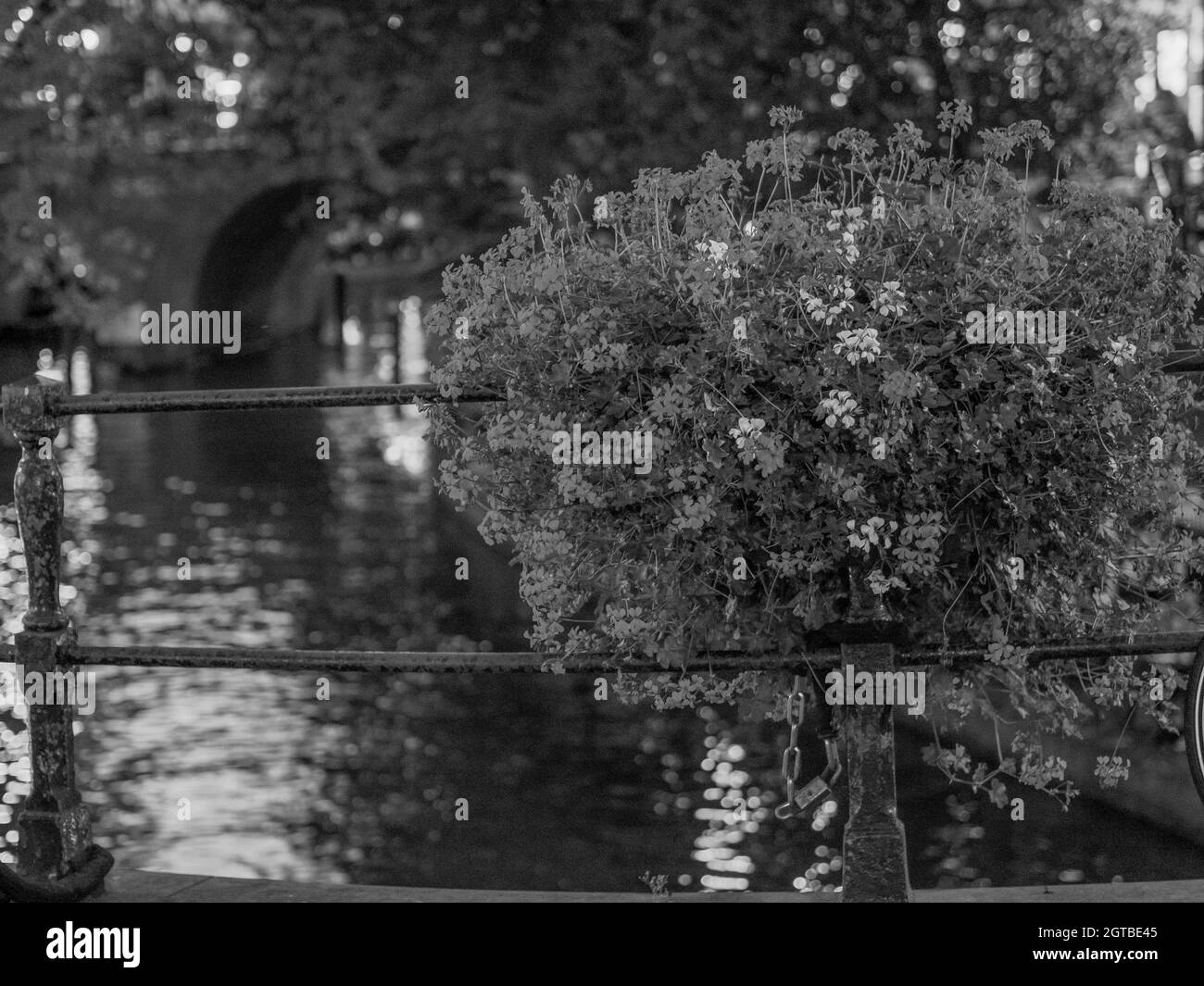 Utecht Utecht in the Netherlands Stock Photo - Alamy
