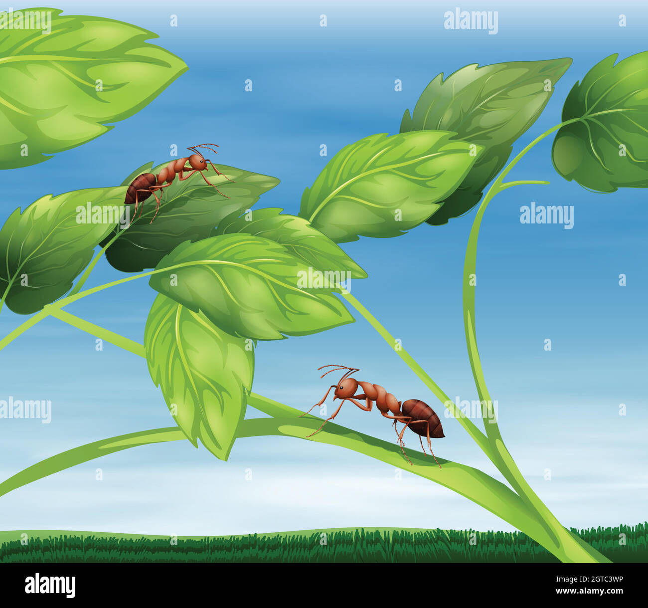 Ants Stock Vector