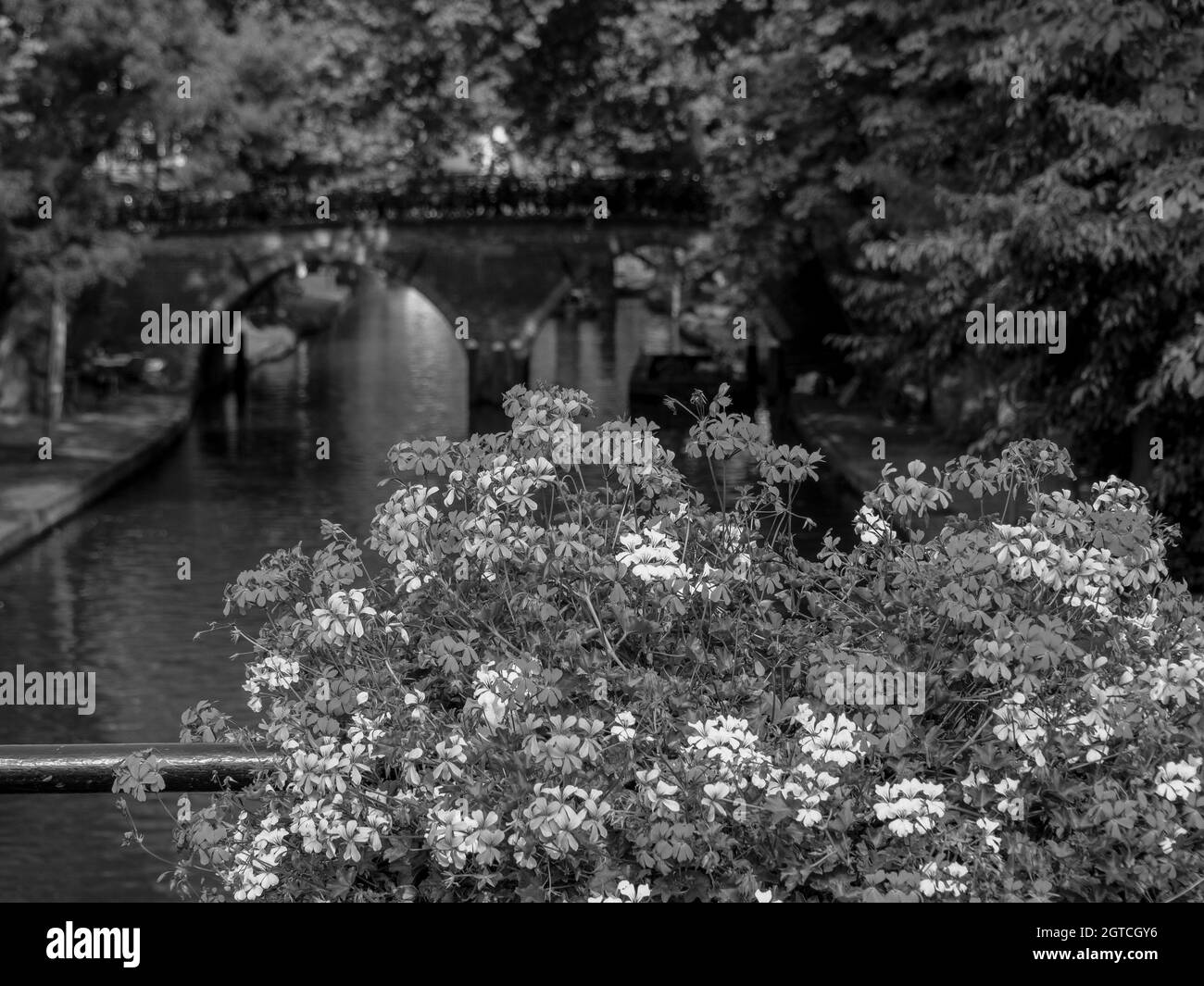 Utecht Utecht in the Netherlands Stock Photo - Alamy
