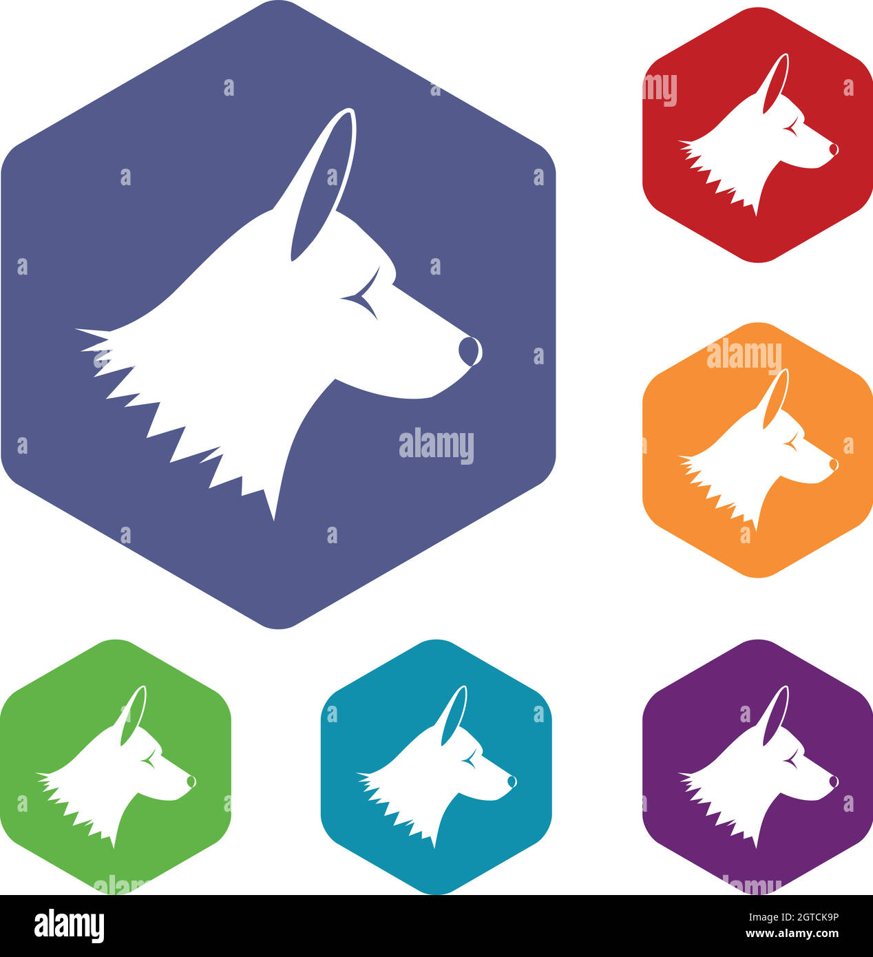 Collie Profile Stock Vector Images - Alamy