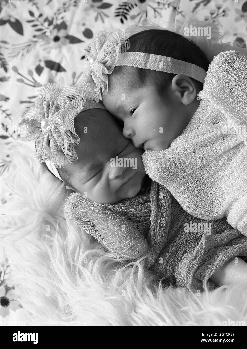 Twin Babies Black And White Stock Photos Images Alamy