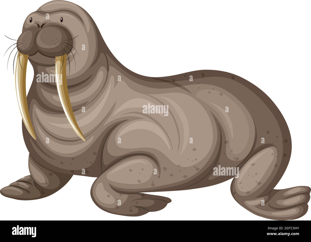 Walrus with sharp teeth Stock Vector