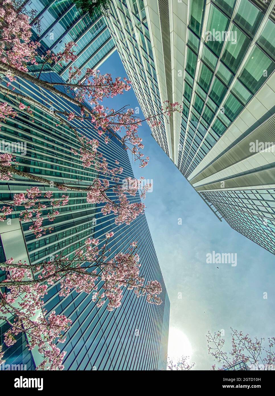 Tall office building in blue sky background Stock Photo - Alamy