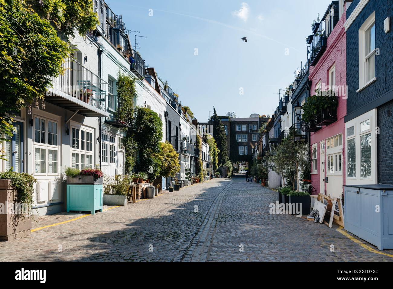 St Luke Mews