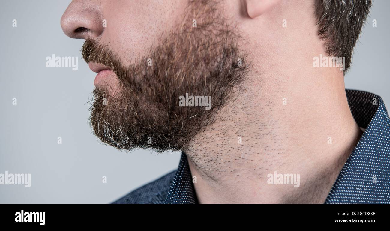 Mans face cropped view with bearded skin and facial hair grey background, skincare Stock Photo
