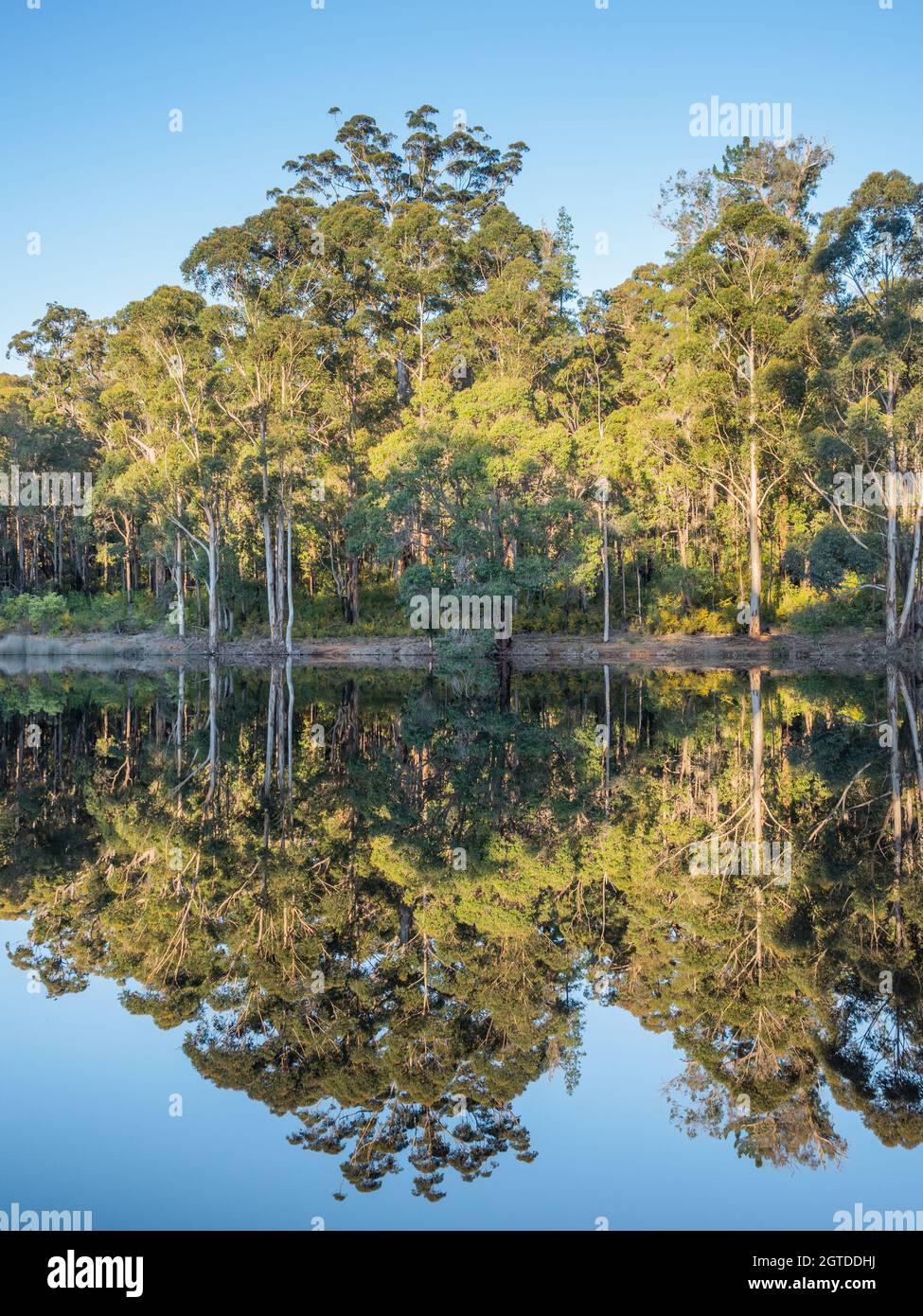 Reflections in the dam at Donnelly River in Western Australia, with