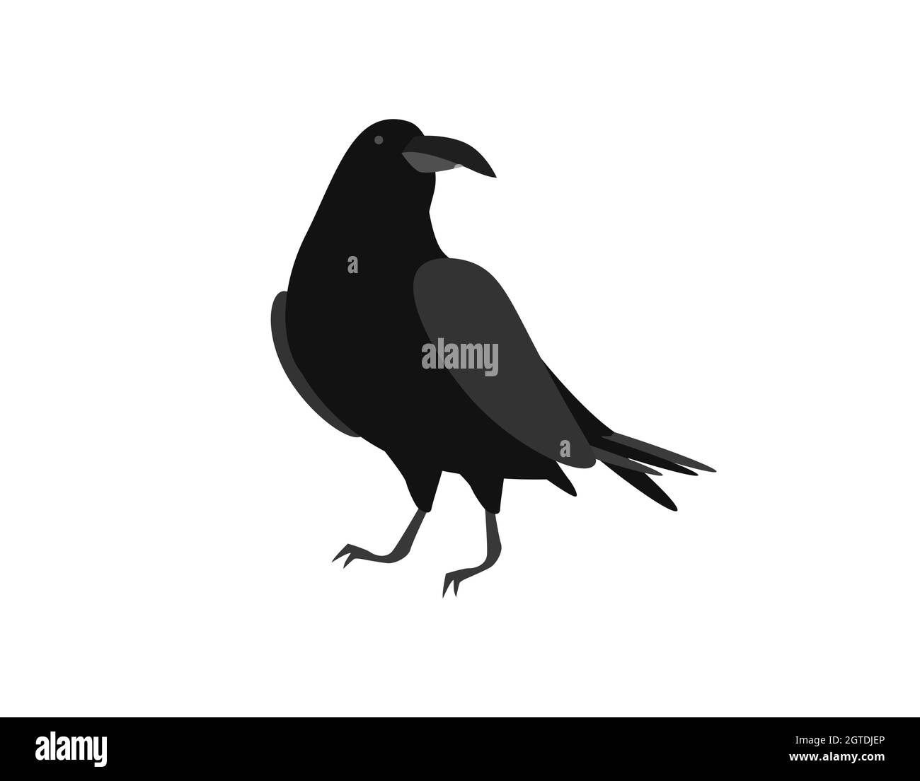 Black raven. Brooding bird sits on surface with its head turned Stock Vector