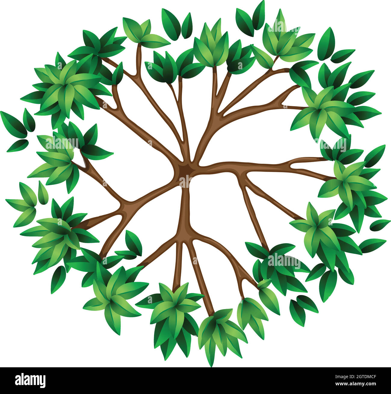 A top view of a plant Stock Vector Image & Art - Alamy