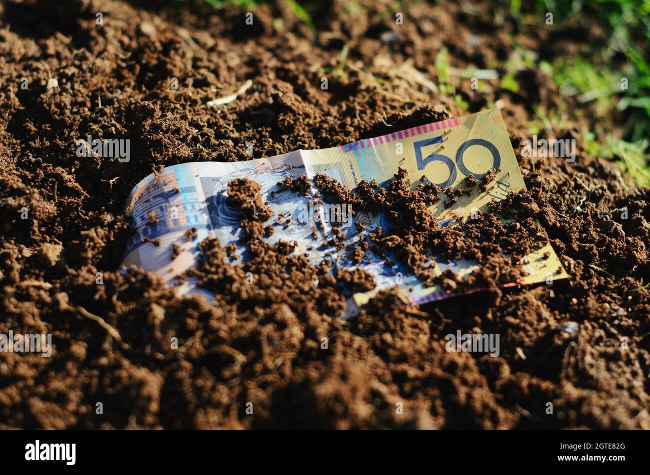 Dirt Money. Fifty Dollar Note Buried In Soil Stock Photo Alamy