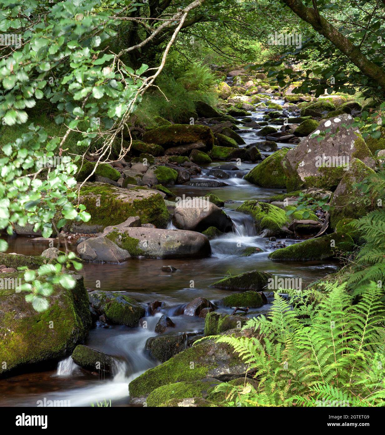 Image of along the river Caerfanell in the Blaen y Glyn region of the ...