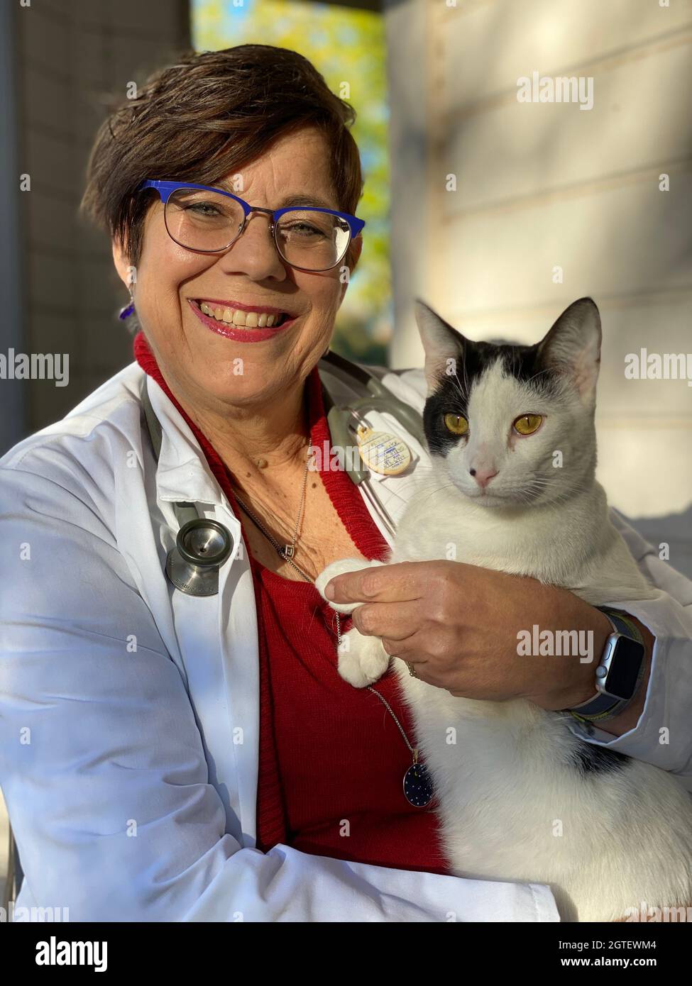 The Cat Veterinarian Lab Coat Stethoscope Turkish Van Mix Cat Smiling