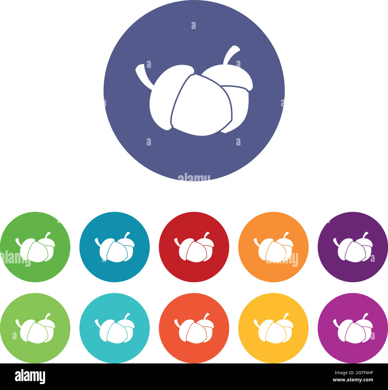 Acorn plant background Stock Vector Images - Alamy