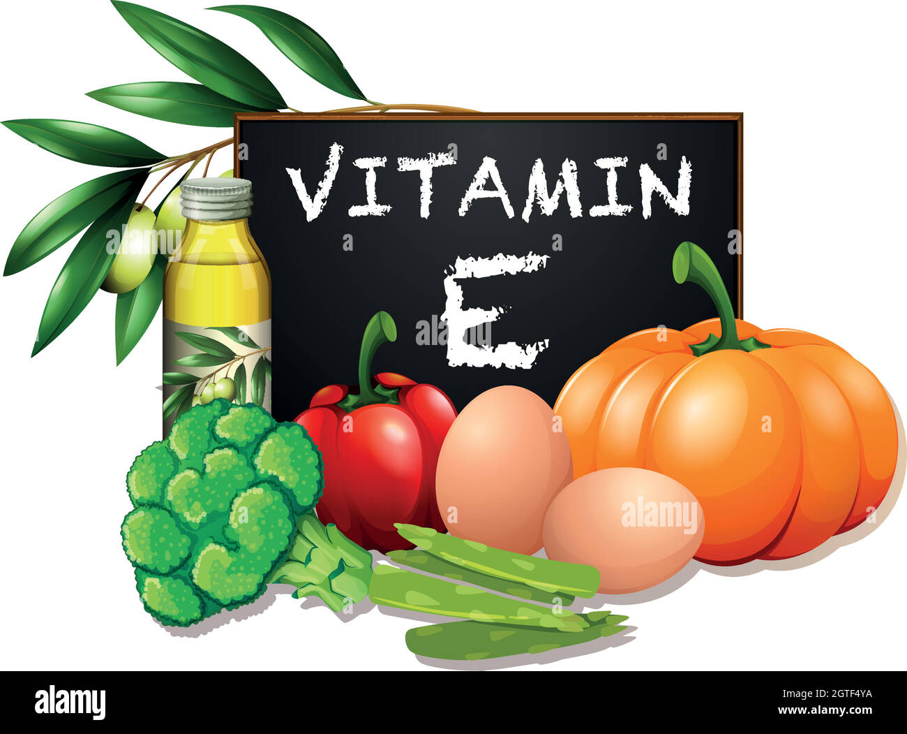 Foods with vitamin E Stock Vector