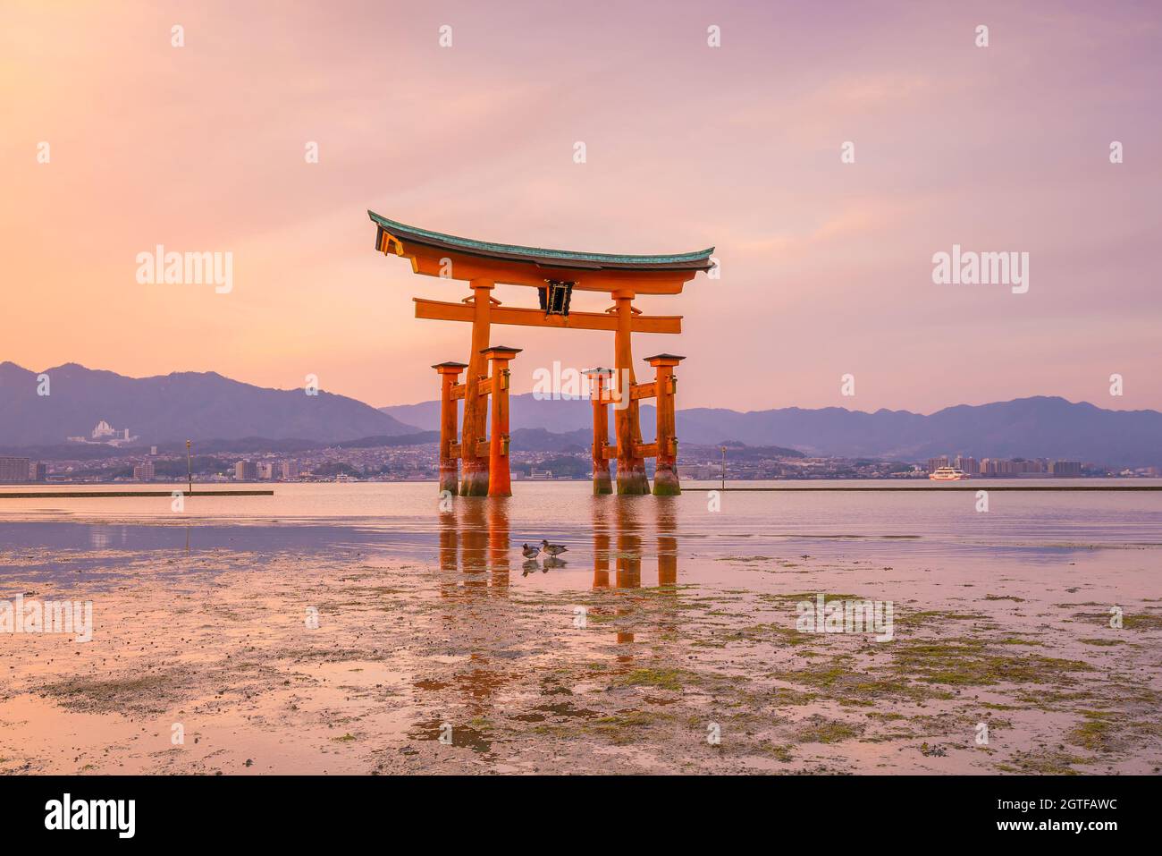 Miyajima, The famous Floating Torii gate in Japan Stock Photo Alamy