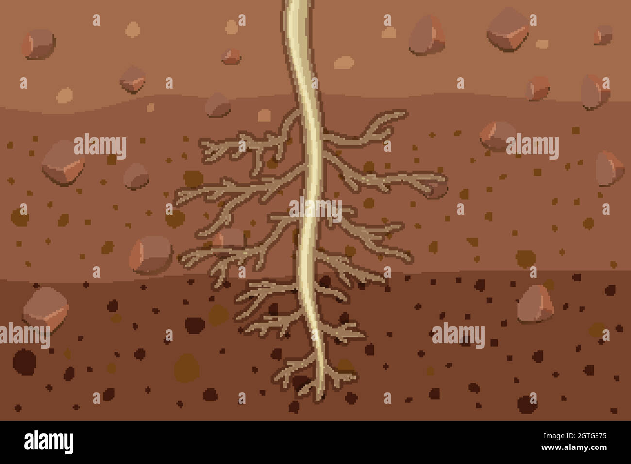 Close up of plant roots in soil Stock Vector