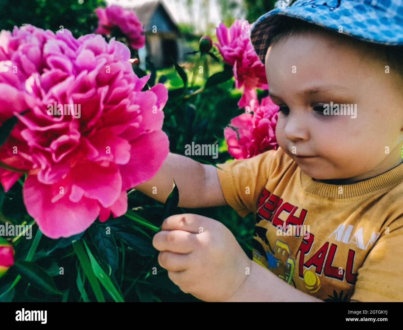 Close-up Portrait Of Boy With Pink Flowers Stock Photo