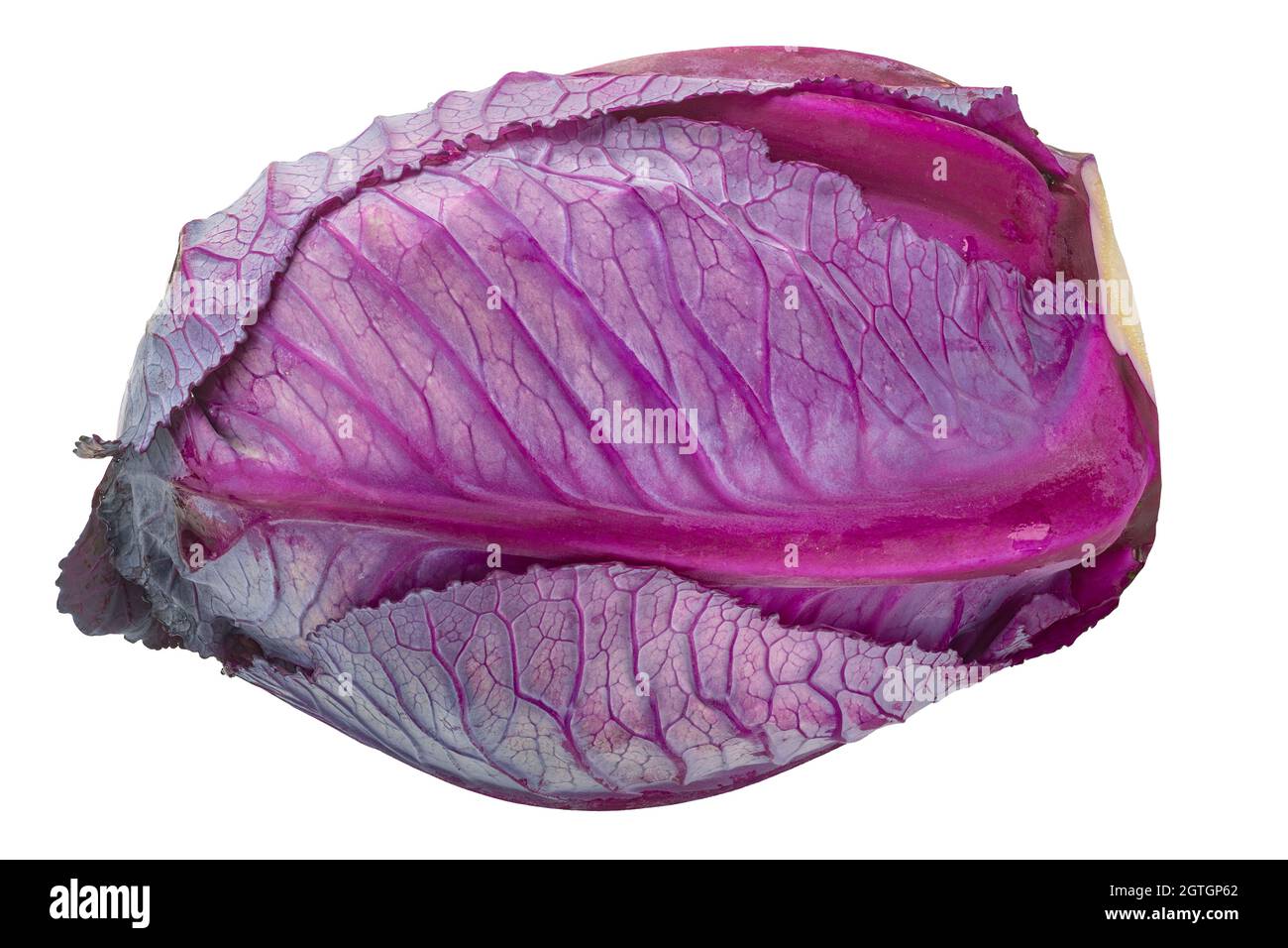 Red cabbage, anthocyanin-rich leafy vegetable (Brassica oleracea) isolated Stock Photo