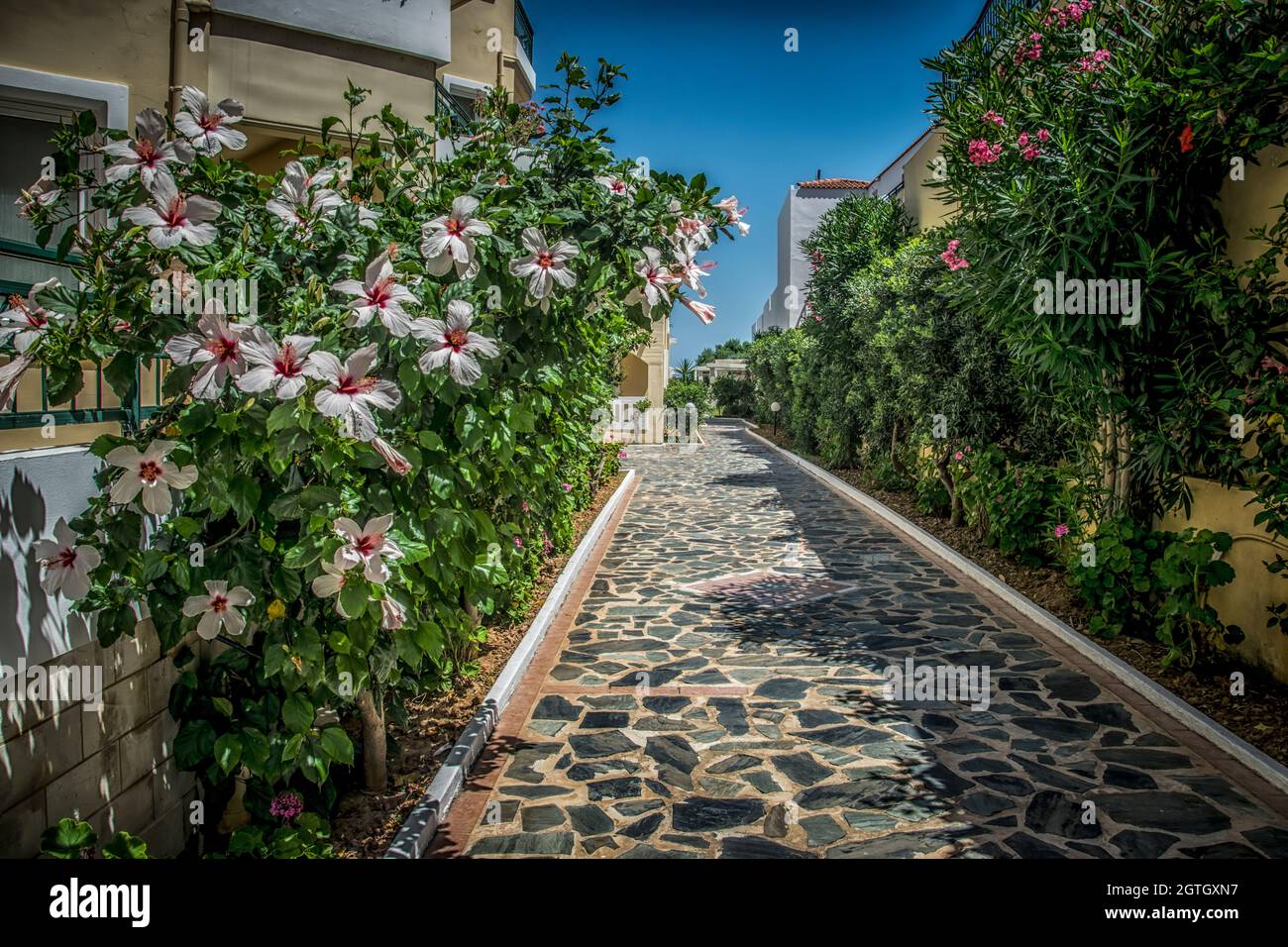 A small alley with hibiscus flowers on Crete Stock Photo