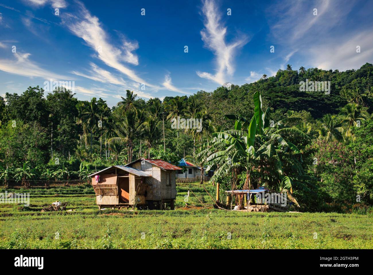 Small Farm. Bohol, Philippines. Simple House Stock Photo Alamy