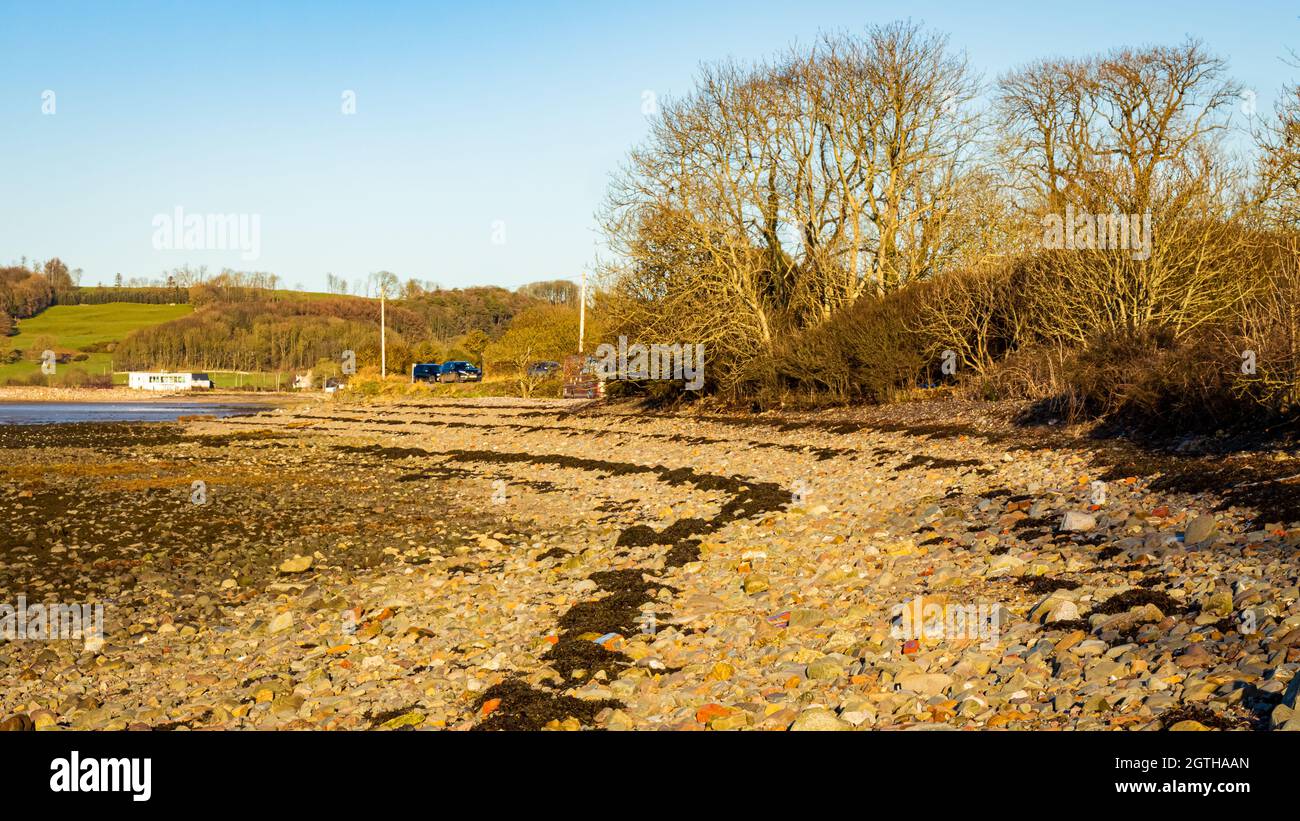 Wrack Zone showing the high tide line on cobble beach in winter in Scotland Stock Photo