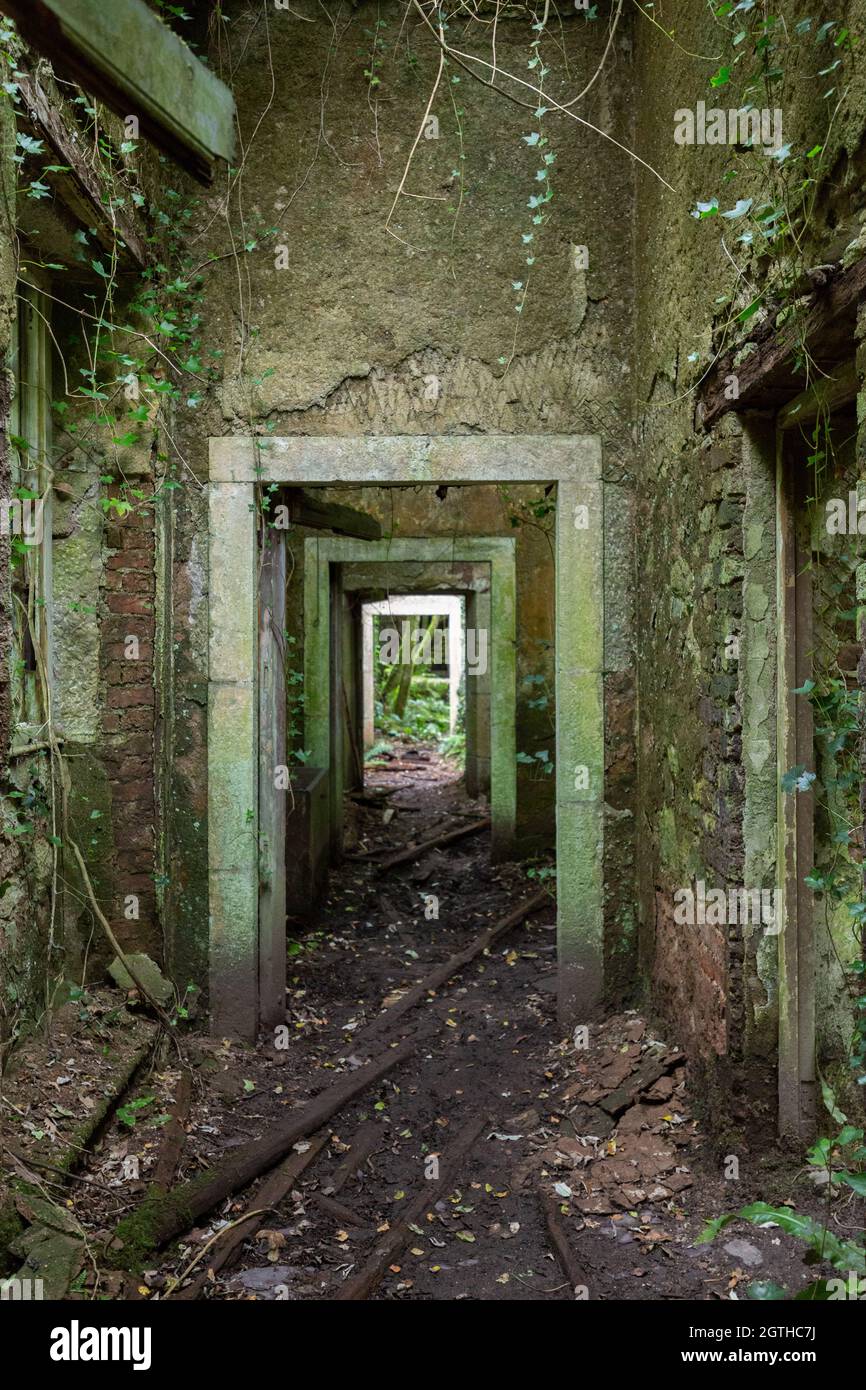Doorways, Baron Hill House, Beaumaris, Anglesey UK Stock Photo Alamy