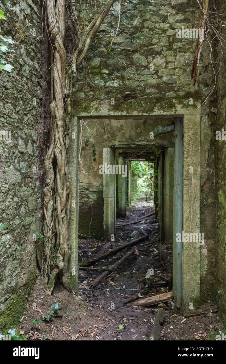 Doorways, Baron Hill House, Beaumaris, Anglesey UK Stock Photo Alamy