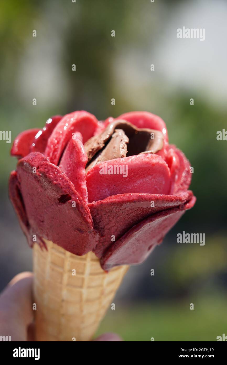 Close-up Of Hand Holding Handcrafted Designer Ice Cream Stock Photo