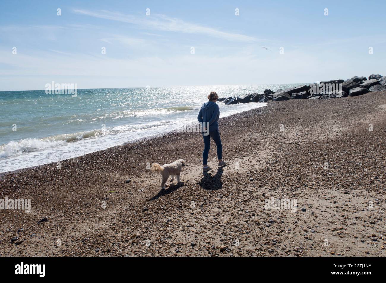 Woman walking a dog on a deserted beach on a sunny day Stock Photo - Alamy