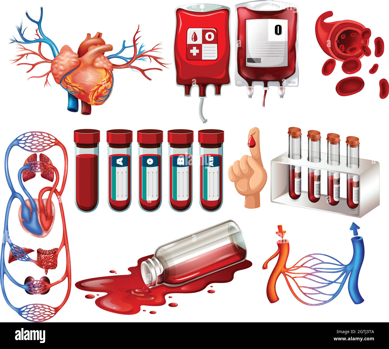 Human blood and organs Stock Vector