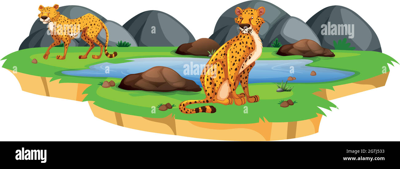 Leopard in the nature Stock Vector