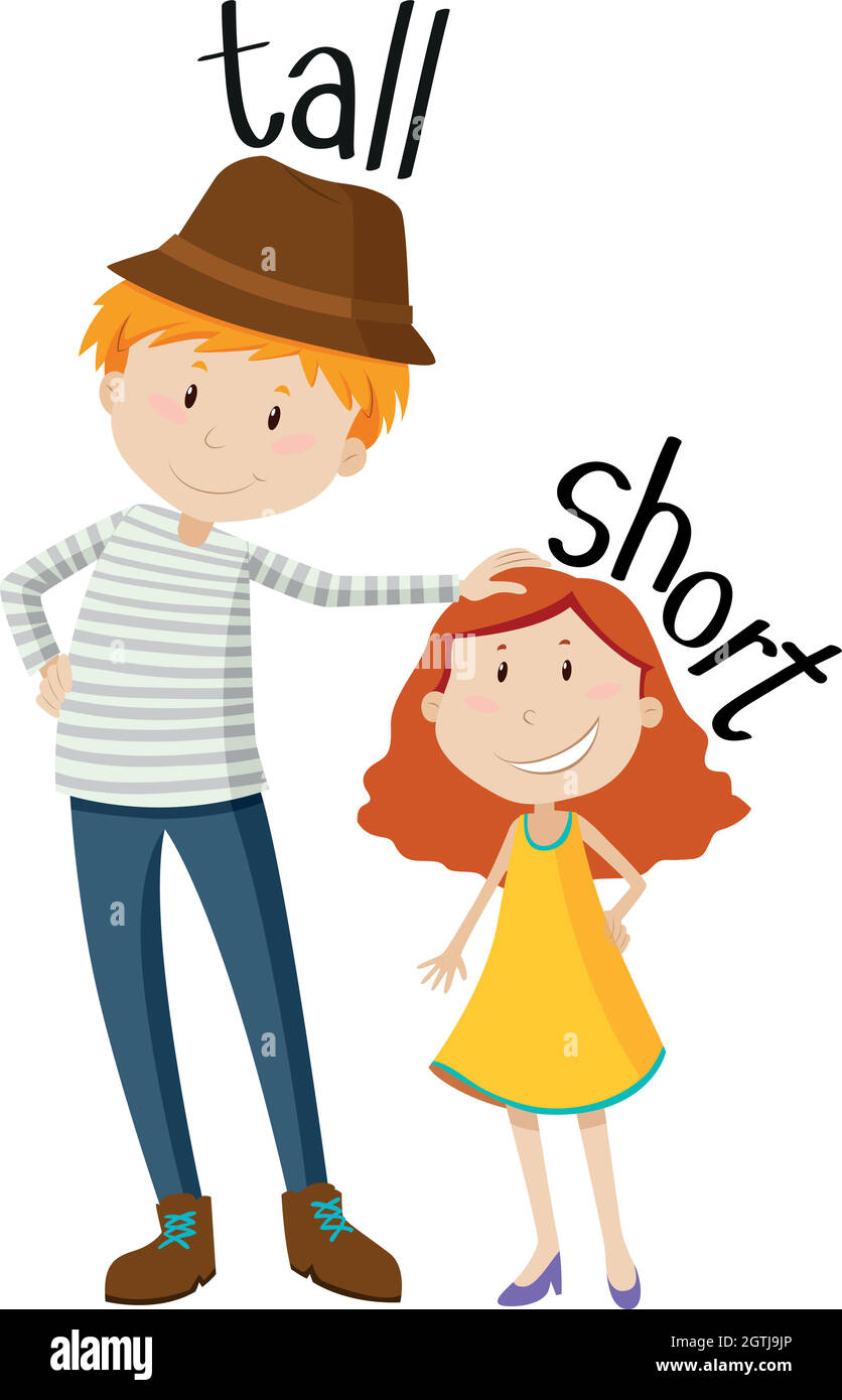 Short Height Stock Illustrations – 651 Short Height Stock