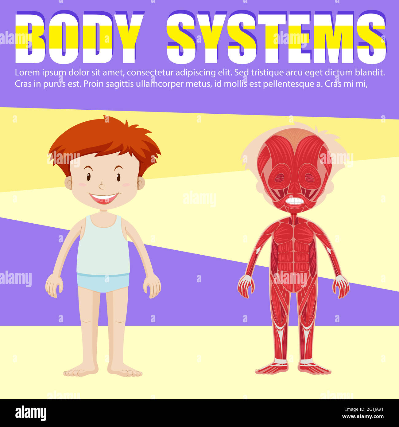 Infographic of boy and body diagram Stock Vector