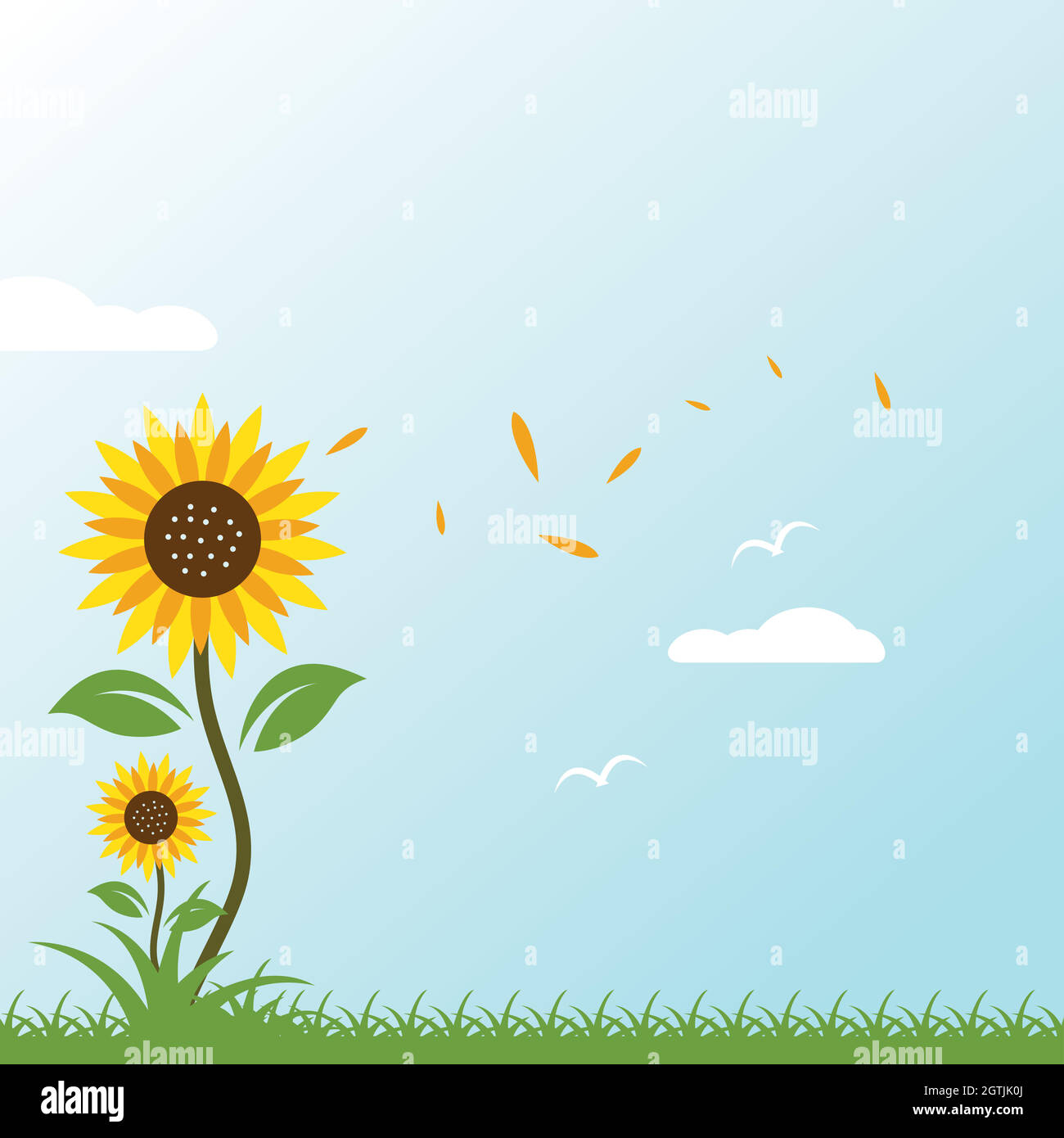 sunflowers background vector illustration Stock Vector Image & Art - Alamy