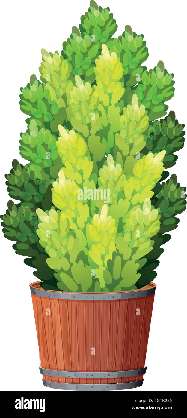 Plant in pot with soil isolated Stock Vector Image & Art - Alamy