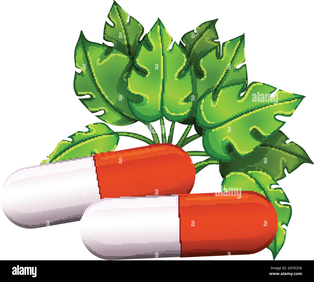 Two hard-shelled capsules Stock Vector
