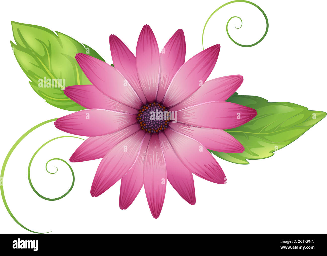 A pink flower with leaves Stock Vector