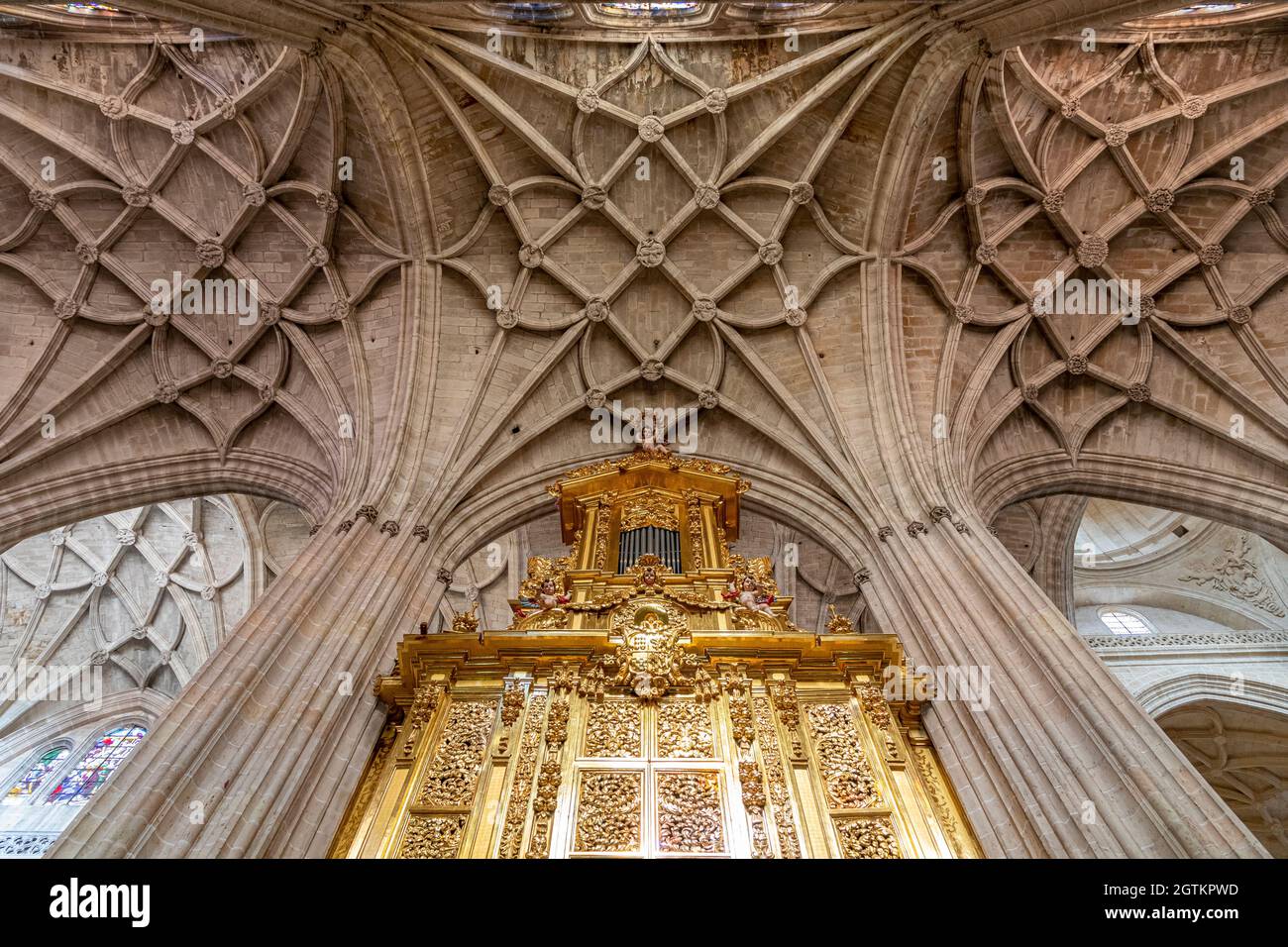 Segovia, Spain. Gothic ribbed vaults and organ at the nave inside Segovia Cathedral Stock Photo