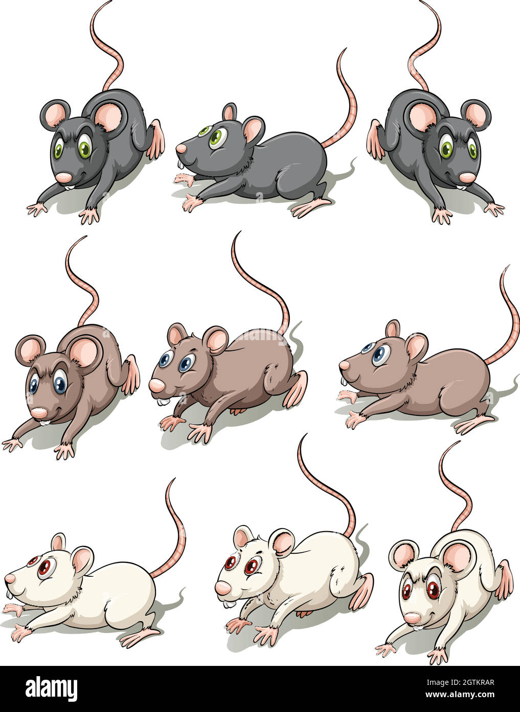 A group of mice Stock Vector Image & Art Alamy