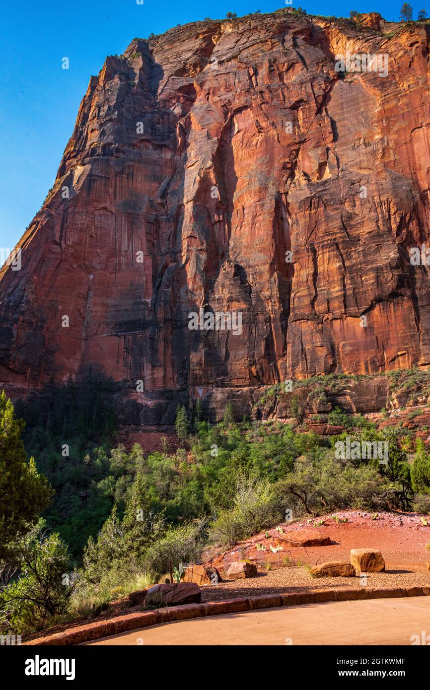 Sunrise in Refrigerator Canyon in Zion National Park Stock Photo
