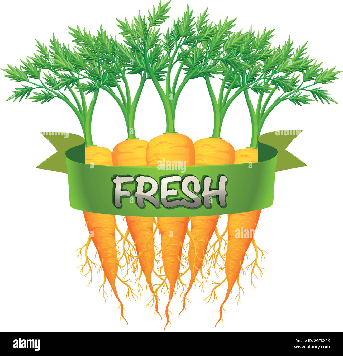 Fresh carrots with green banner Stock Vector Image & Art - Alamy