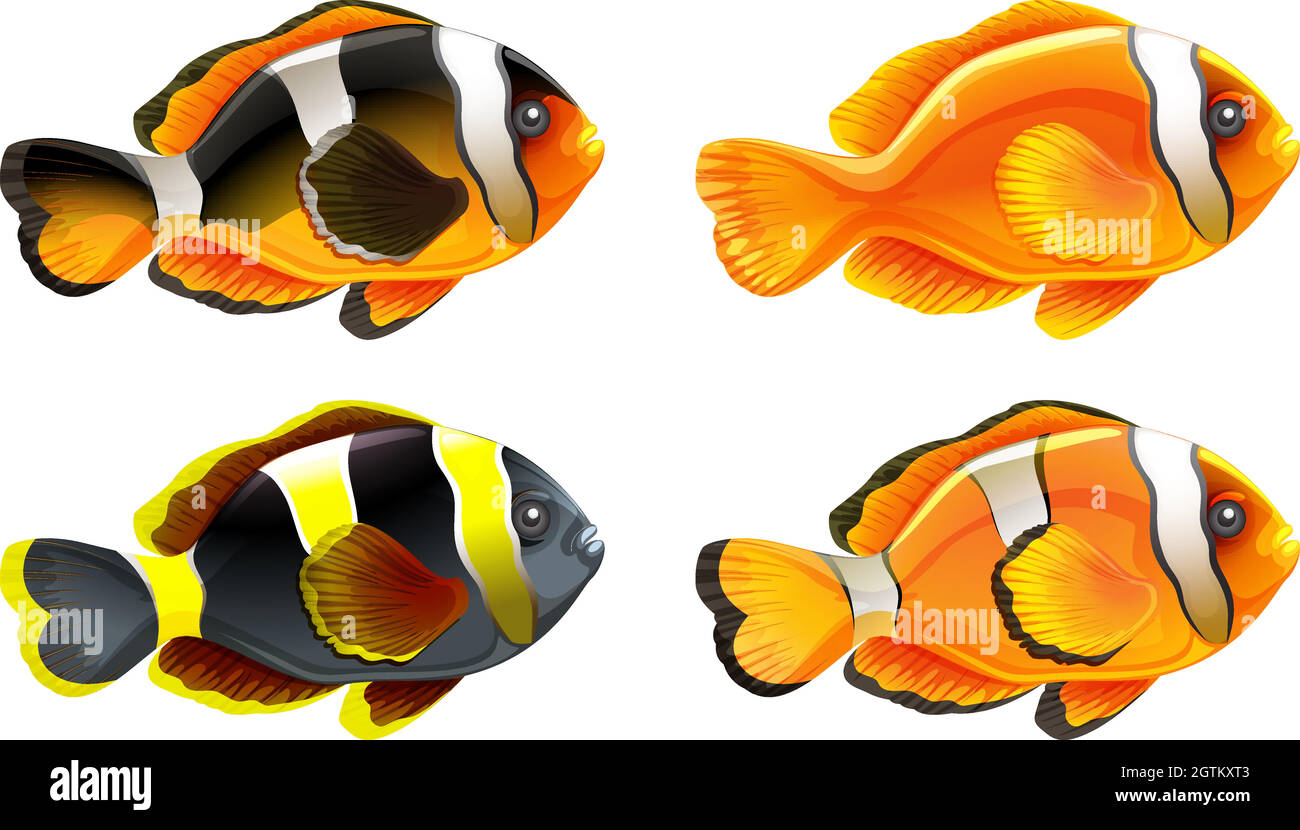 Four colorful fishes Stock Vector