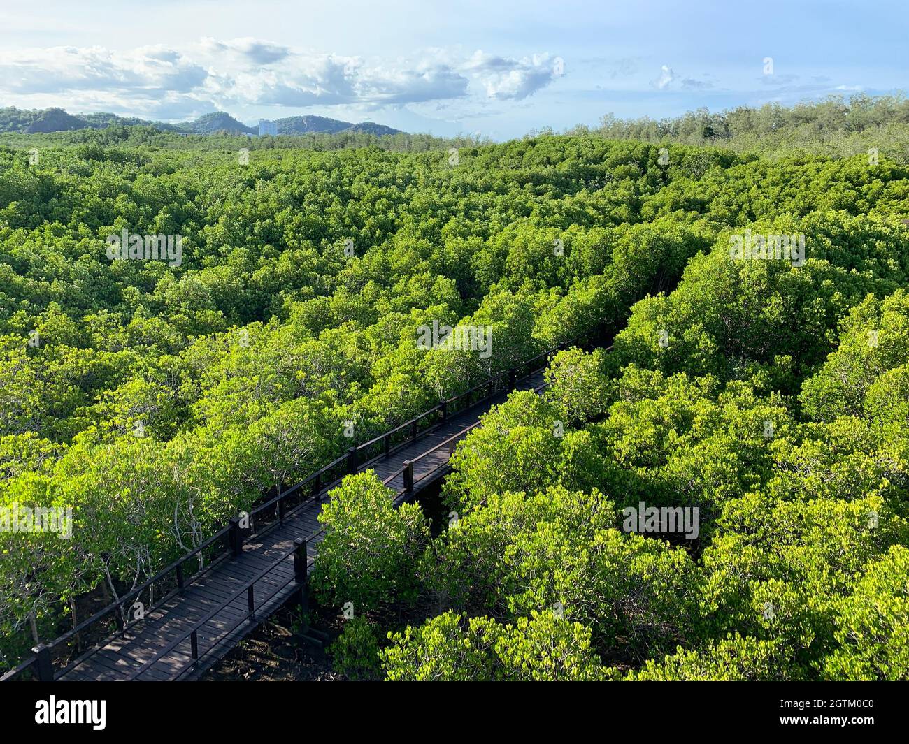 High Angle View Of Plants Growing On Land Against Sky Stock Photo