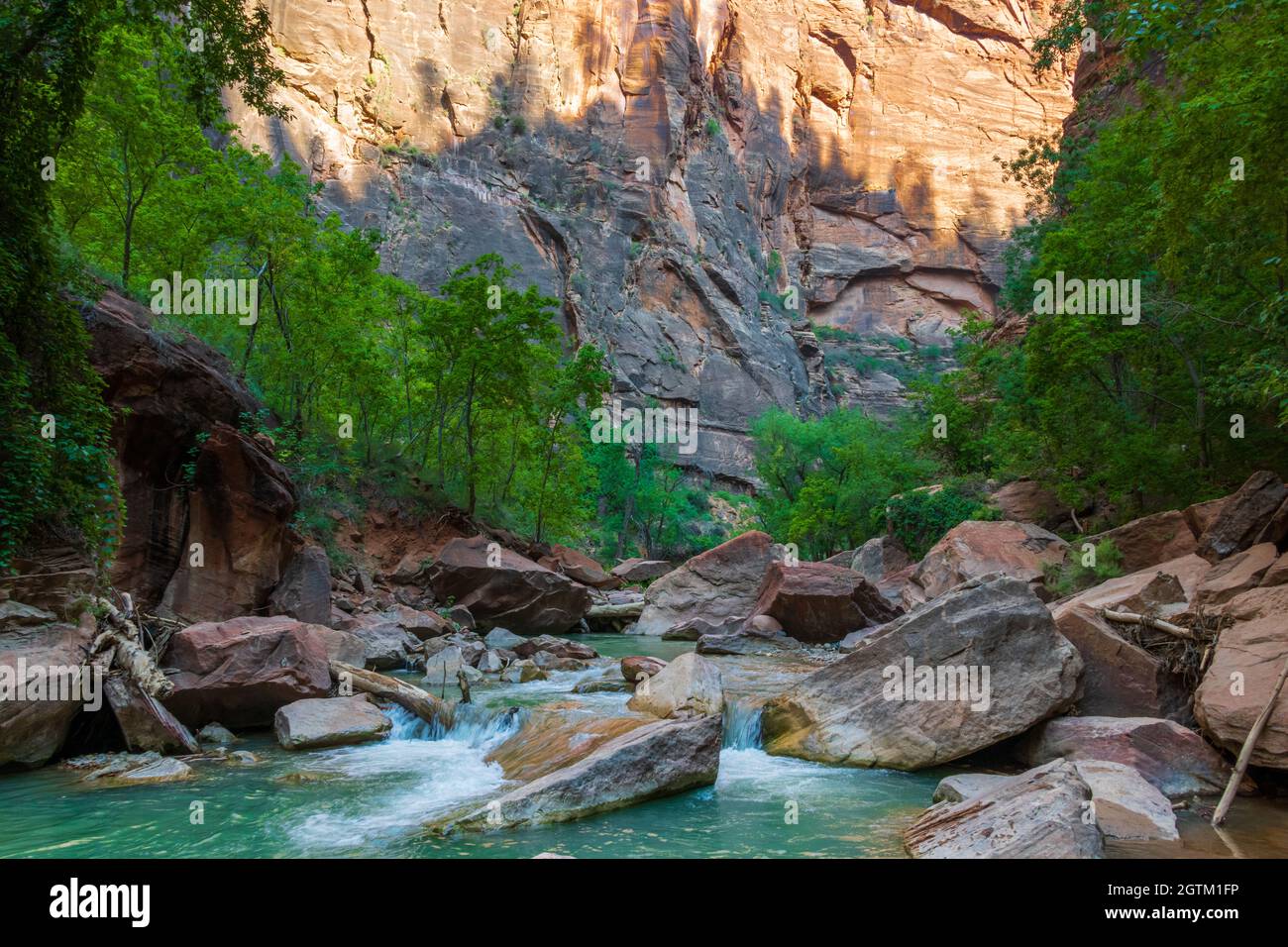 The Virgin River as it flows through Zion national park Stock Photo